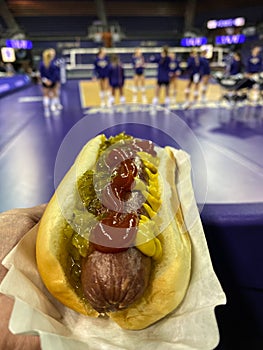 Hot Dog at Sporting event