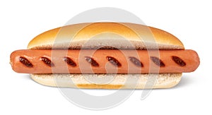 Hot dog on a white