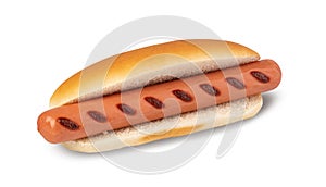 Hot dog on a white
