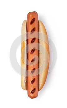 Hot dog on a white