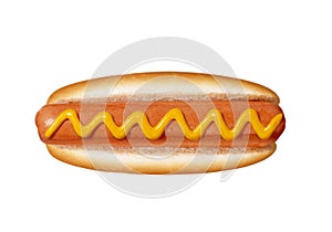 Hot dog on white background