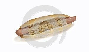 Hot dog wiht onion on white