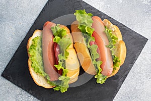 Hot dogs on a concrete grey background. Hot dog with lettuce tomato and sausage. Copy space.