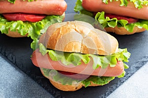 Hot dogs on a concrete grey background. Hot dog with lettuce tomato and sausage. Copy space.
