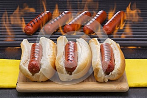 Hot Dogs Grilled in Buns and on Barbecue Grill