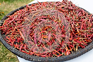 Hot dried red chillies peppers in big round plate. Traditional mexican cuisine. Healthy vegan food