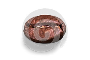 Brown Coffee Bean on white background photo