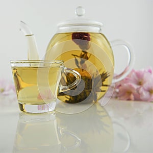 Drink of flowering tea in glass teapot with cup