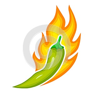 Hot finger pepper with sharp taste. Green chili is in fire flame. Spice with pungent flavor. photo