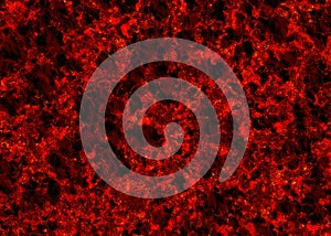 Hot fire embers texture