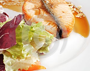 Hot Fish Dishes - Salmon Steak