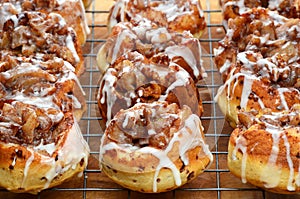 Hot fresh baked apple cinnamon rolls