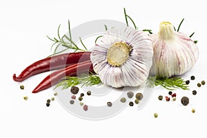 Hot fresh red pepper, garlic, rosemary and dill branches isolated on a white background