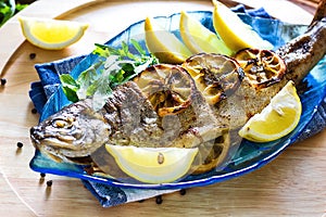 Hot fresh savory grilled whole trout barbeque with fresh herbs and lemon, served black pepper and arugula salad leaves on blue pla