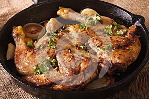 Hot Fried Chicken tobacco with herbs and garlic in a pan. horizontal