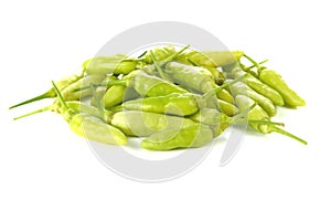 Hot green chili or chilli pepper isolated on white background