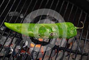 Hot green chili pepper cooking on a hot charcoal barbecue