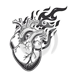 Hot heart fire logo silhouette. lion heart graphic design logos or icons. vector illustration