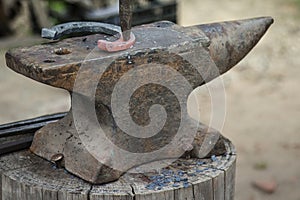 Hot hoof on blacksmith`s perch
