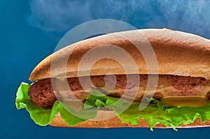 Hot hot dog with mustard close-up