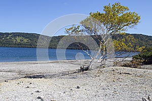 Hot Lake in the caldera of Golovnin volcano on Kunashir island, Russia