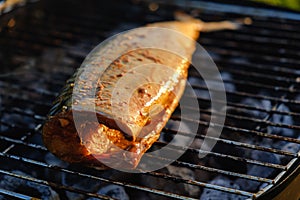 Hot mackerel fish on a grilling pan, with herb spices on fire