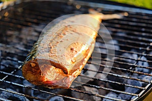 Hot mackerel fish on a grilling pan, with herb spices on fire