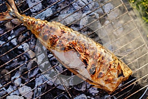 Hot mackerel fish on a grilling pan, with herb spices on fire