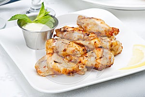 Hot Meat Dishes - Grilled Chicken Wings