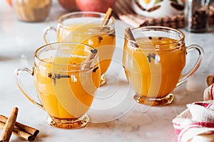 Hot Mulled Cinnamon Spiced Apple Cider