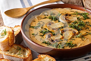 Hot mushroom soup with fresh dill and toast close-up. horizontal