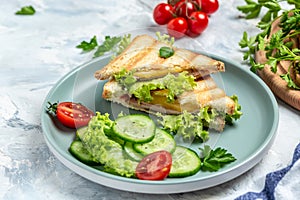 Hot panini with salad. Food recipe background. Close up