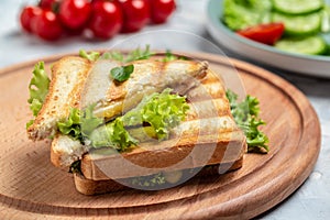 Hot panini with salad. Food recipe background. Close up