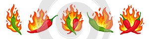 Hot pepper labels. Chilli peppers sticker, flaming eating sauce. Menu spicy logo, vegetables in fire. Mexican cuisine
