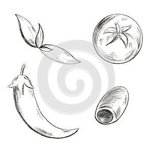 Hot pepper, tomato, olive and basil leaves sketch with a simple digital art pencil. Print for cards, banners, posters, menus, rest
