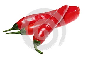 Hot pepper on a white background