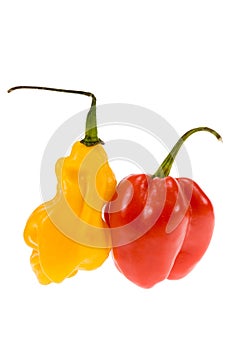 Hot peppers