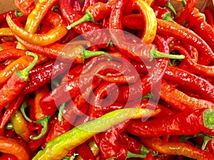 Hot Peppers