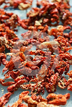 Hot peppers drying