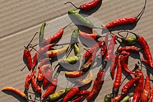 Hot peppers in Laos