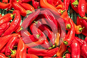 Hot peppers in the market Stall