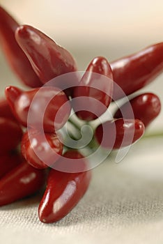 Hot peppers on tablecloth (4)