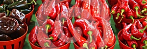 Hot peppers varieties Pimientos Choriceros photo