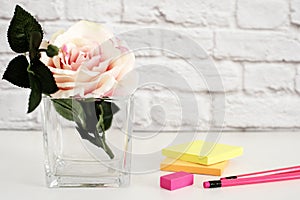 Hot Pink Styled Desktop. Garden Roses Styled Stock Photography. Product Mockup, Graphic Design. Rose Flower Mockup. Feminine