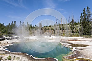 Hot Pool in Yellowstone National Park