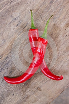 Hot red chili or chilli