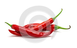 Hot red chili or chilli pepper photo