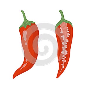 Hot red chili pepper, vector icon. Fresh whole vegetable, half with seeds. Hand drawn ripe cayenne pepper pod isolated