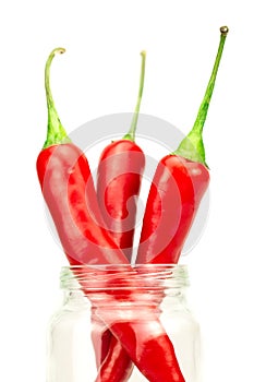 Hot red chili pepper white background