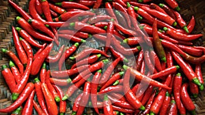 Hot red chillies